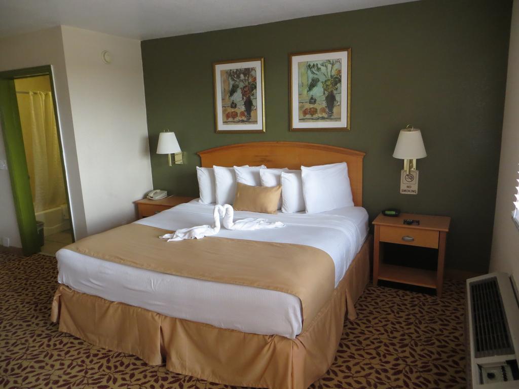 Roomba Inn & Suites - Daytona Beach Buitenkant foto